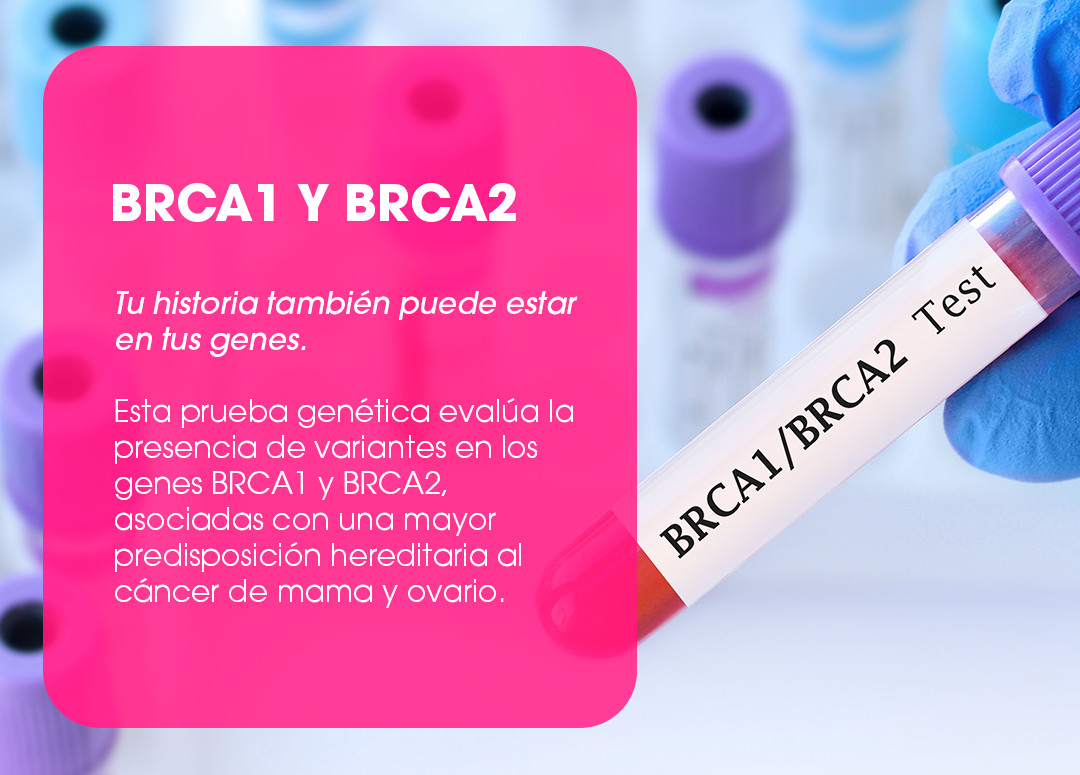 BRCA1 y BRCA2. Tu historia también puede estar en tus genes. Esta prueba genética evalúa la presencia de variantes en los genes BRCA1 y BRCA2, asociadas con una mayor predisposición hereditaria al cáncer de mama y ovario.