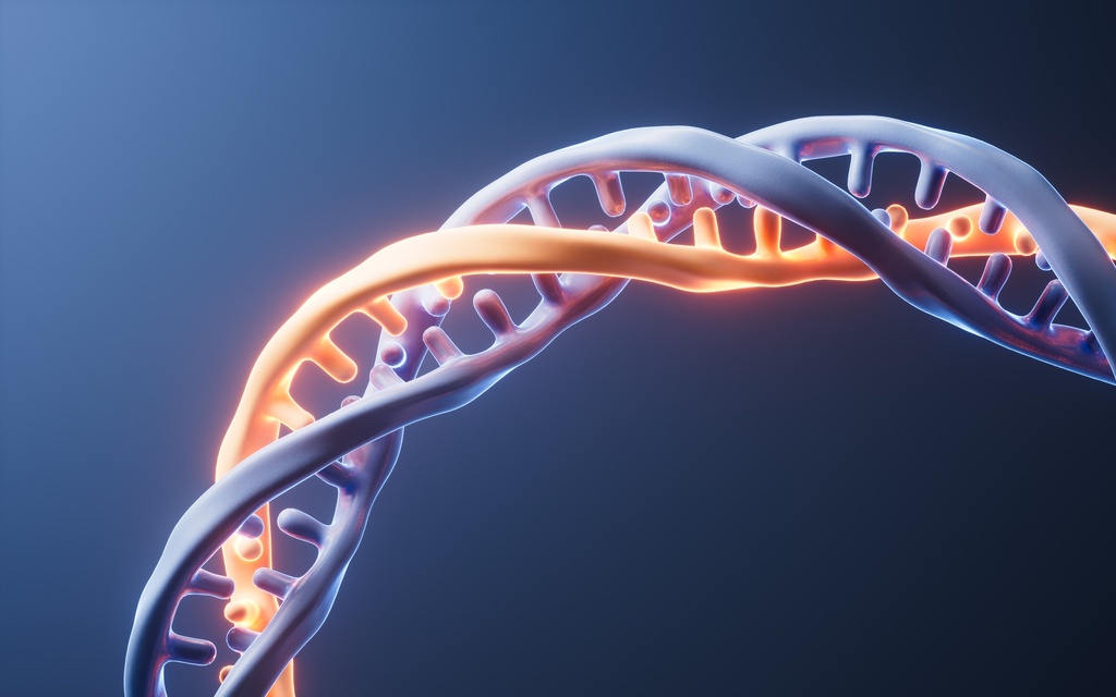 Exoma Dirigido a Cáncer de Mama - Ovario (Pruebas Genéticas)