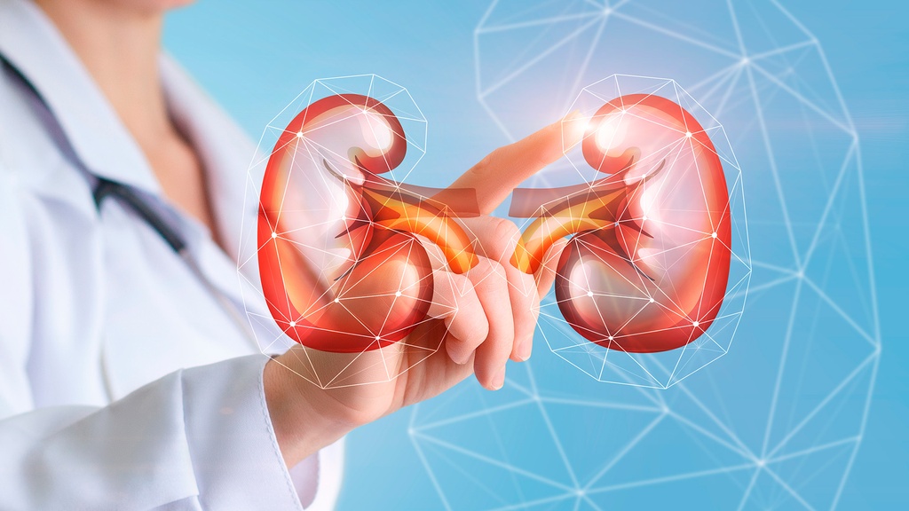 Creatinina en Orina de 24 Horas.