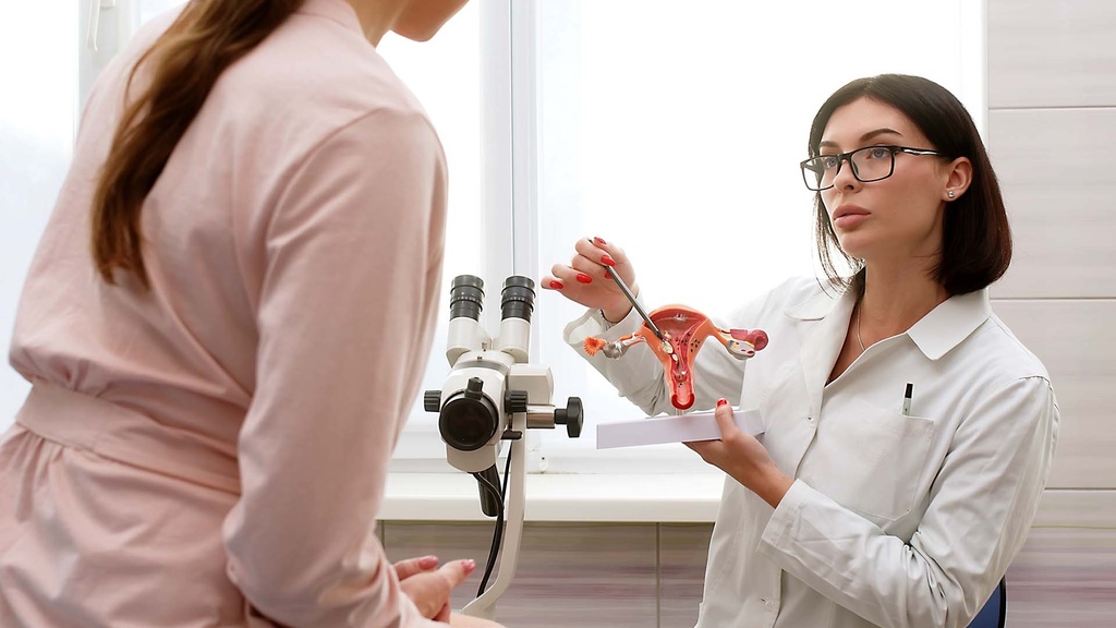 Perfil Ginecológico