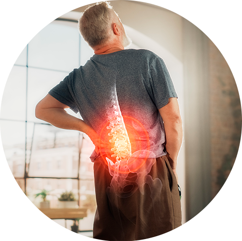Perfil Salud Ósea Metabólica 2