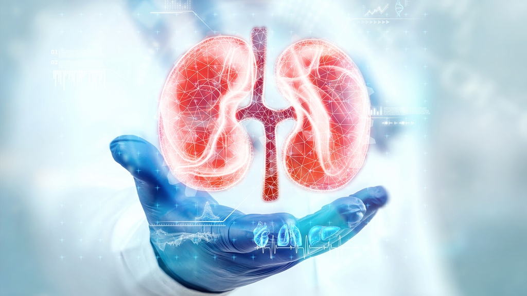 Perfil Salud Renal 2